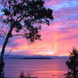 Meet your Posher, Aisling